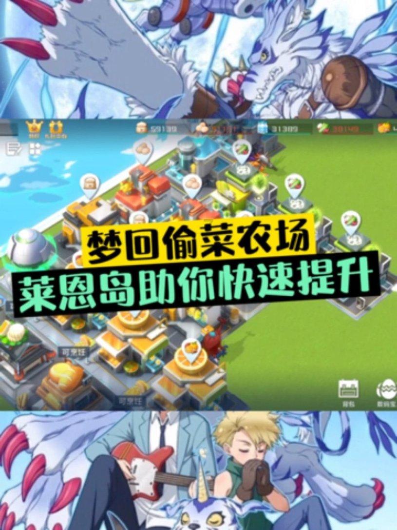 澳大利亚是一个怎样的国家?为什么说澳大利亚的狗是中国的狗?